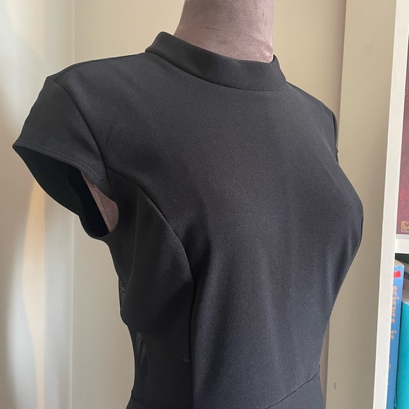 Bodycon Dress with Fine Mesh Details - Picture 9 of 12